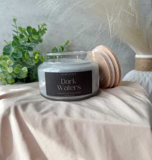 Dark Waters